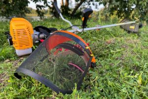 jardineria i desbrossaments, Poda 